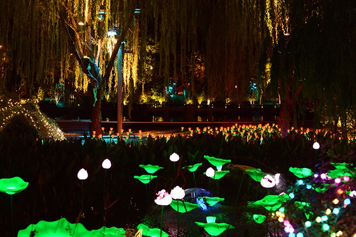 1539140172125373.jpg 法拉沃.jpg