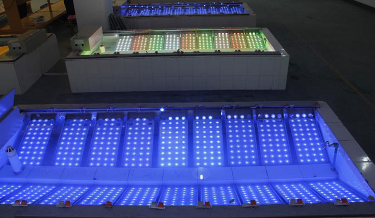 1600048383100363.jpg 1600048383100363.jpg